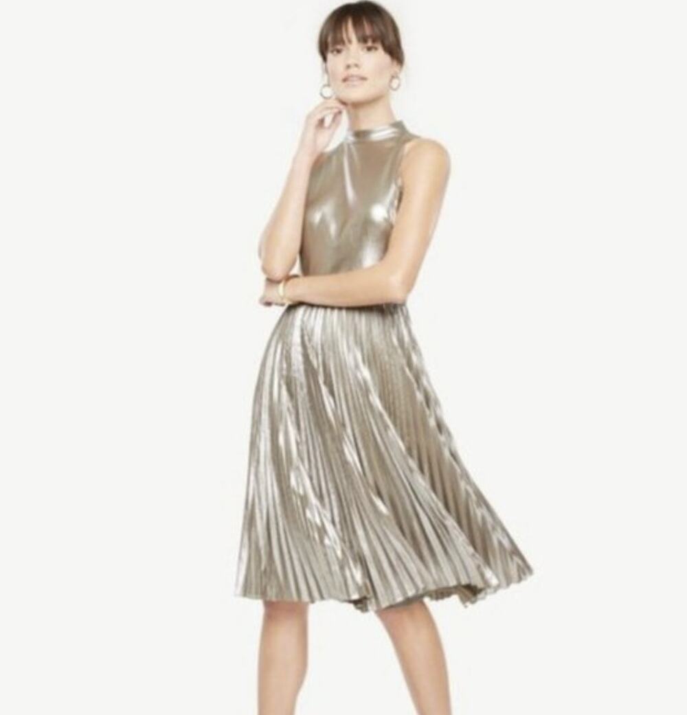 Ann Taylor Shimmer Chiffon Pleated Dress